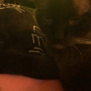 Meet your Posher, Cindy